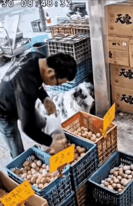 就这么爱占小便宜？一个男人，正大光明地走进商店，挑了一大袋鸡蛋，跟寻常顾客没两样