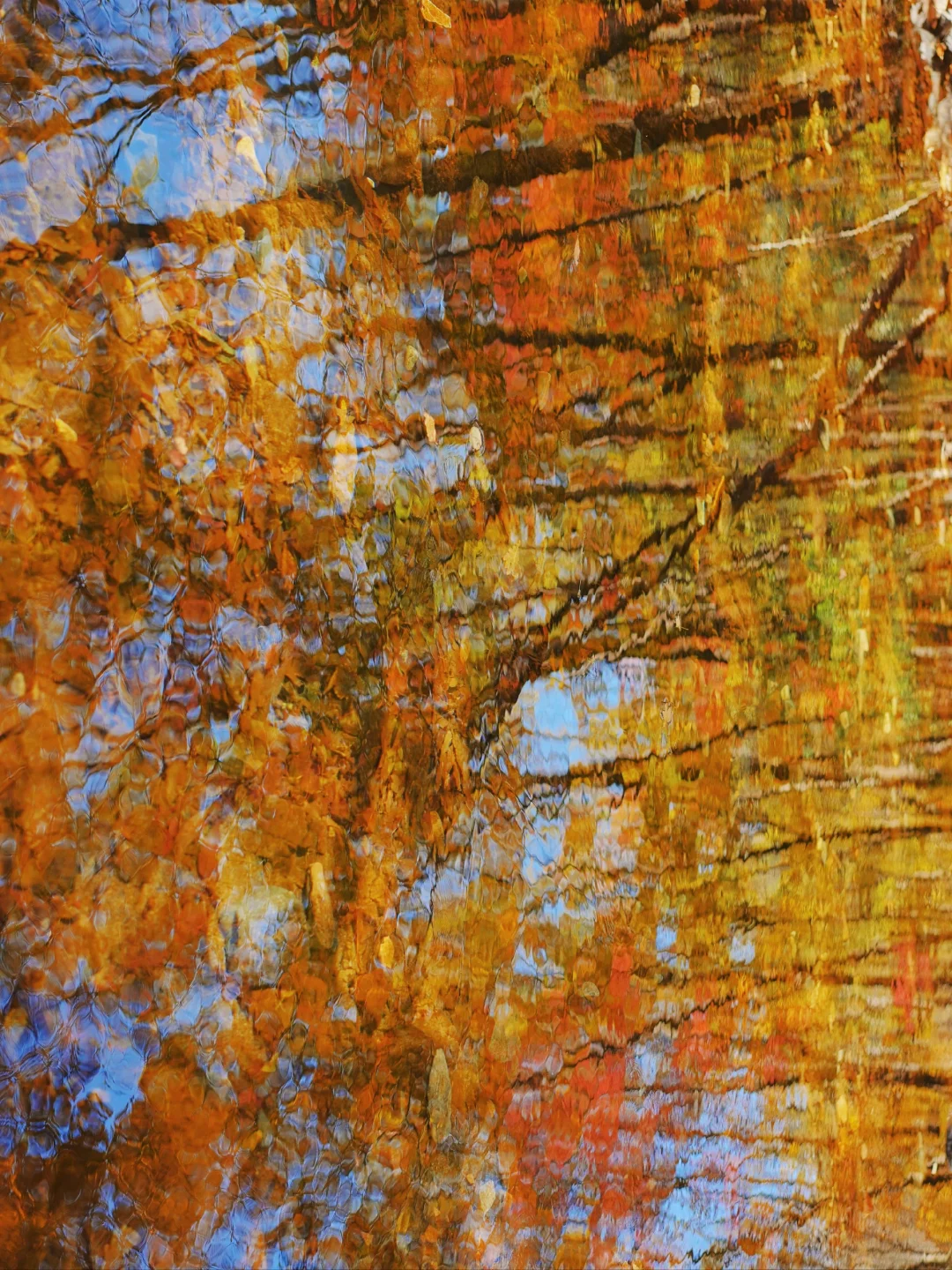 🍂｜大自然的油画集