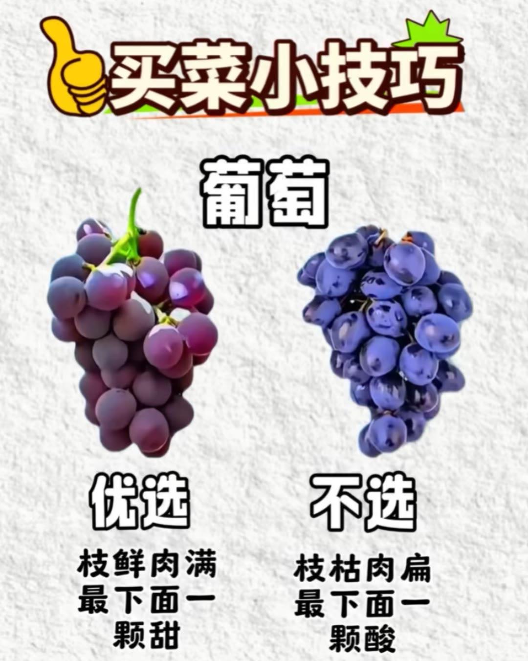 买菜小技巧 生活小常识 每天一起涨知识买菜挑选小技巧 蔬菜选购小妙招 家庭买菜技