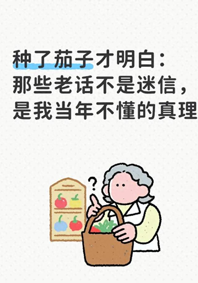 种了茄子才明白：那些老话不是迷信，是我当年不懂的真理