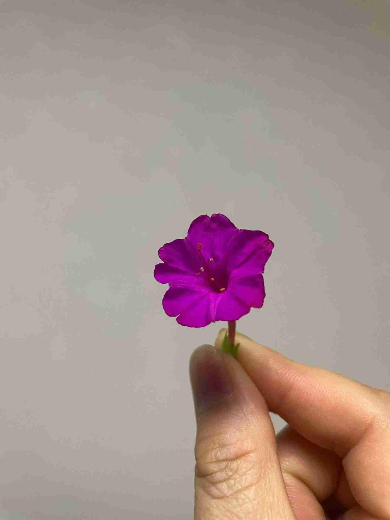 我的今日状态：🏝️旅行度假
我这里的天气：🌤️多云
偷偷的精彩