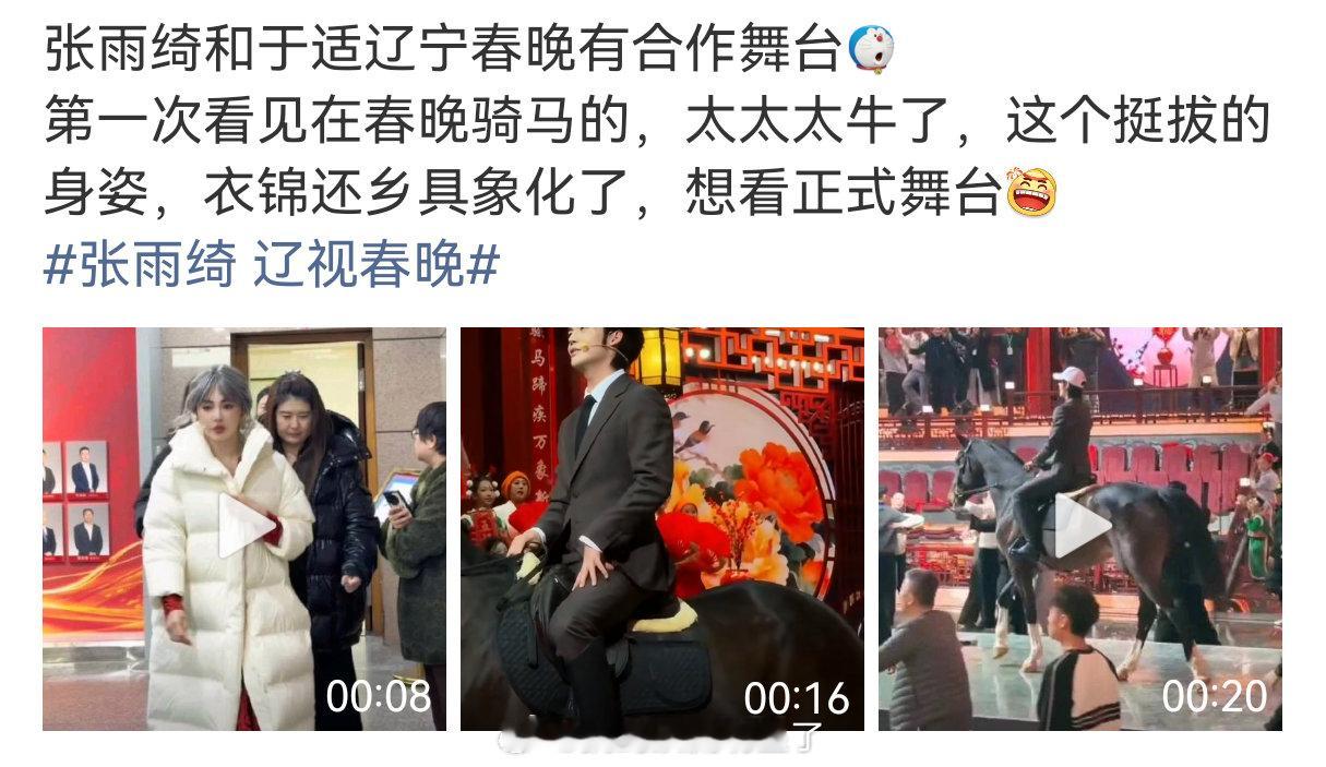张雨绮和于适春晚会有合作舞台？真的假的张雨绮 辽视春晚