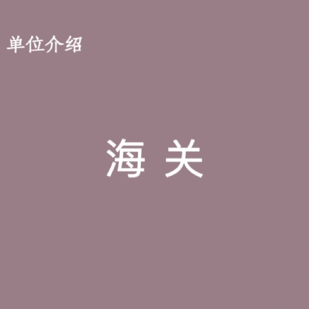 宝子们，这是海关