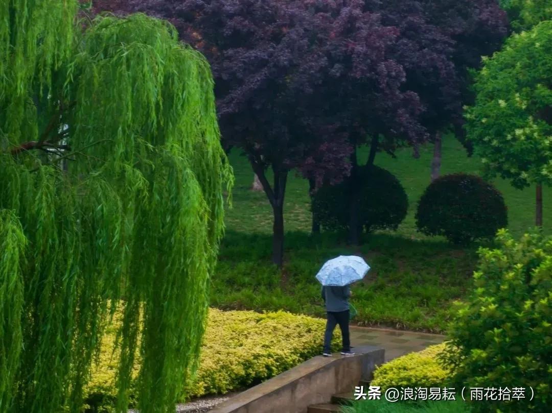 风景这边独好，大家快来欣赏！