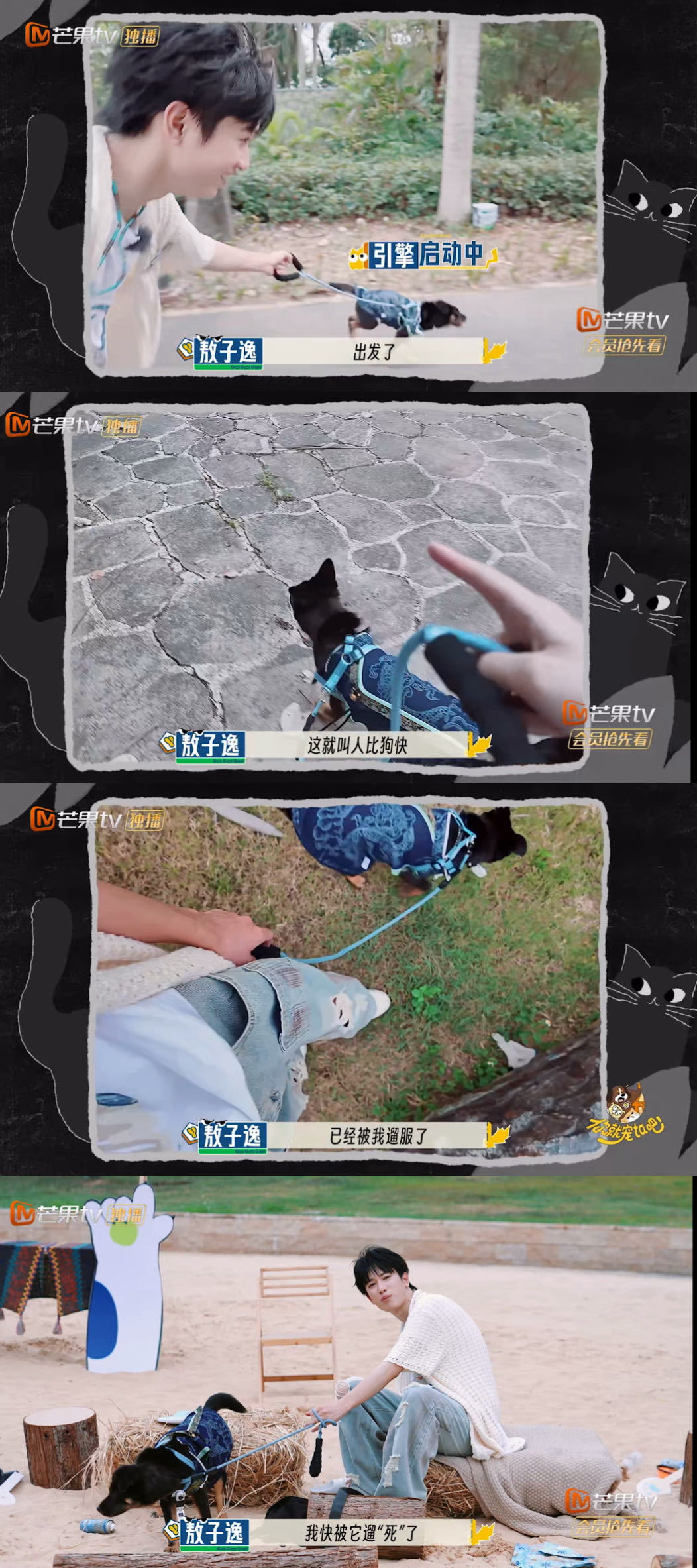 敖子逸没人告诉我遛小狗这么累 太喜欢看敖子逸跟我们分享这样的快乐片段了，尤其是遛