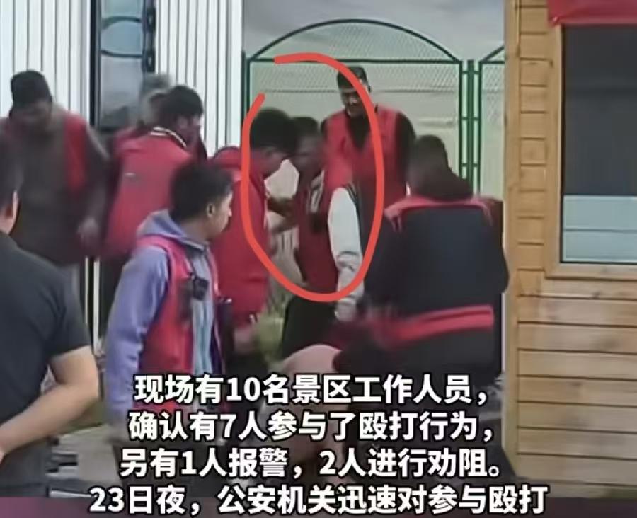 通报了，原来被打的是司机，一夜醒来新疆文旅炸锅了，赛里木湖群殴事件刷屏，全网都在