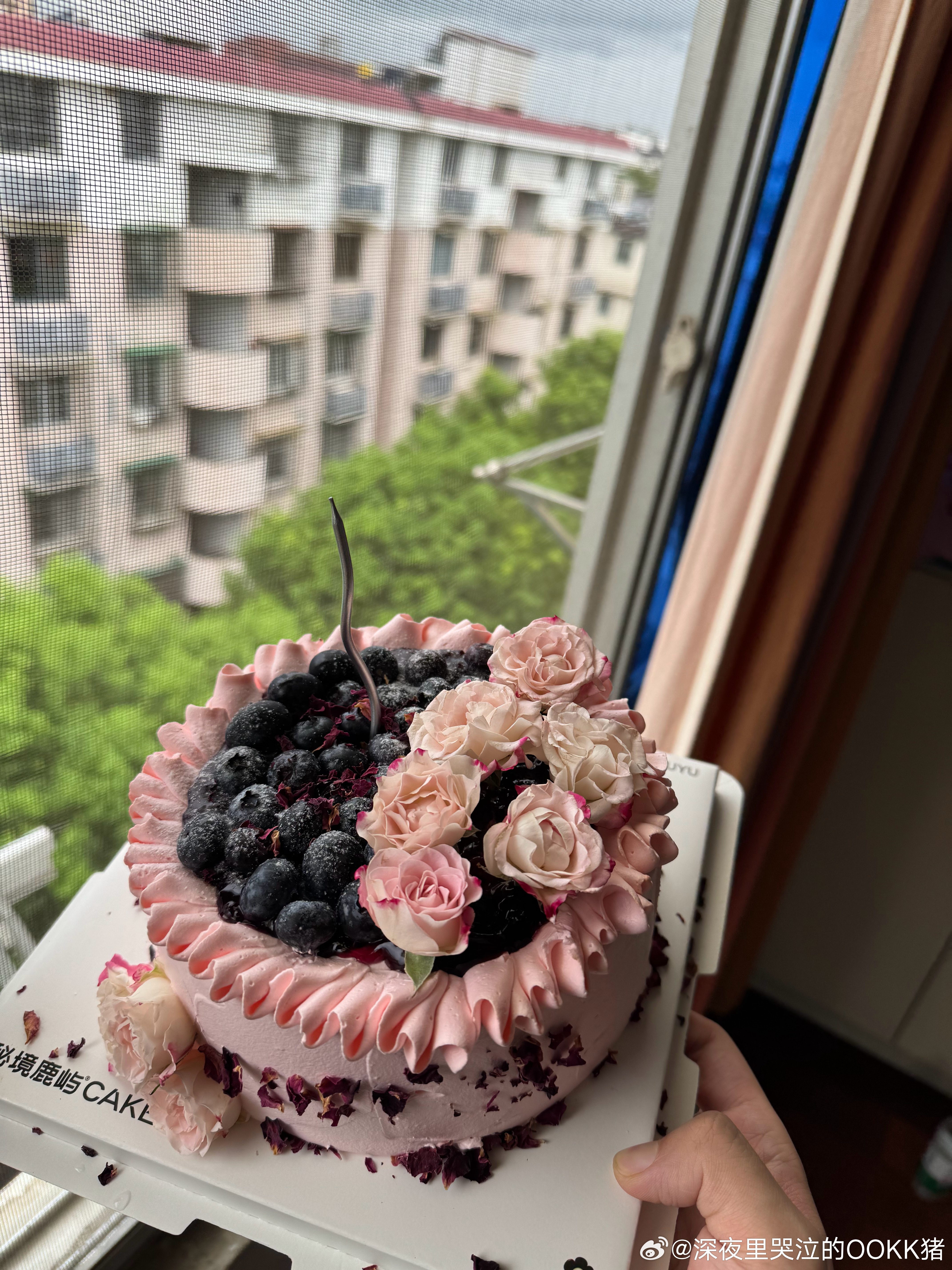 这几天吃了几个蛋糕了  ​​​