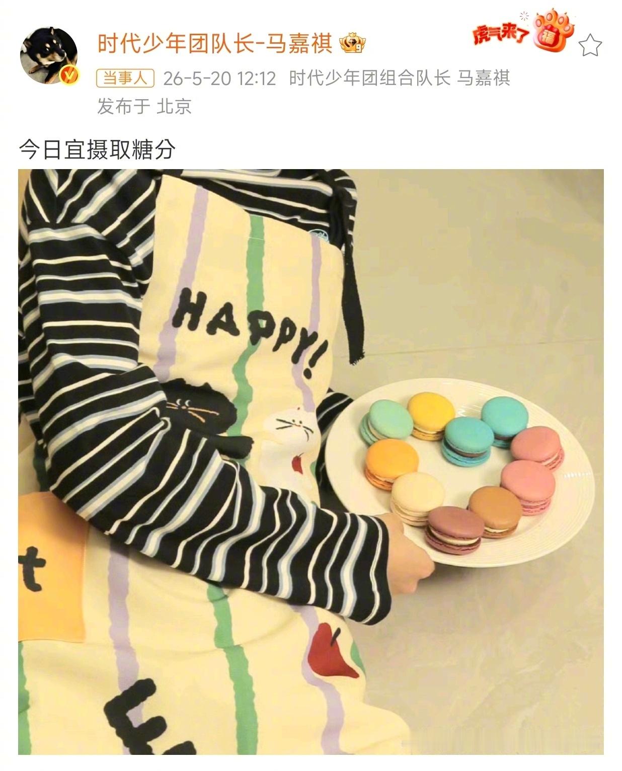 马嘉祺用马卡龙摆了个爱心好甜啊小马今日糖分已百分百超标软乎乎的猫猫围裙，彩色甜甜