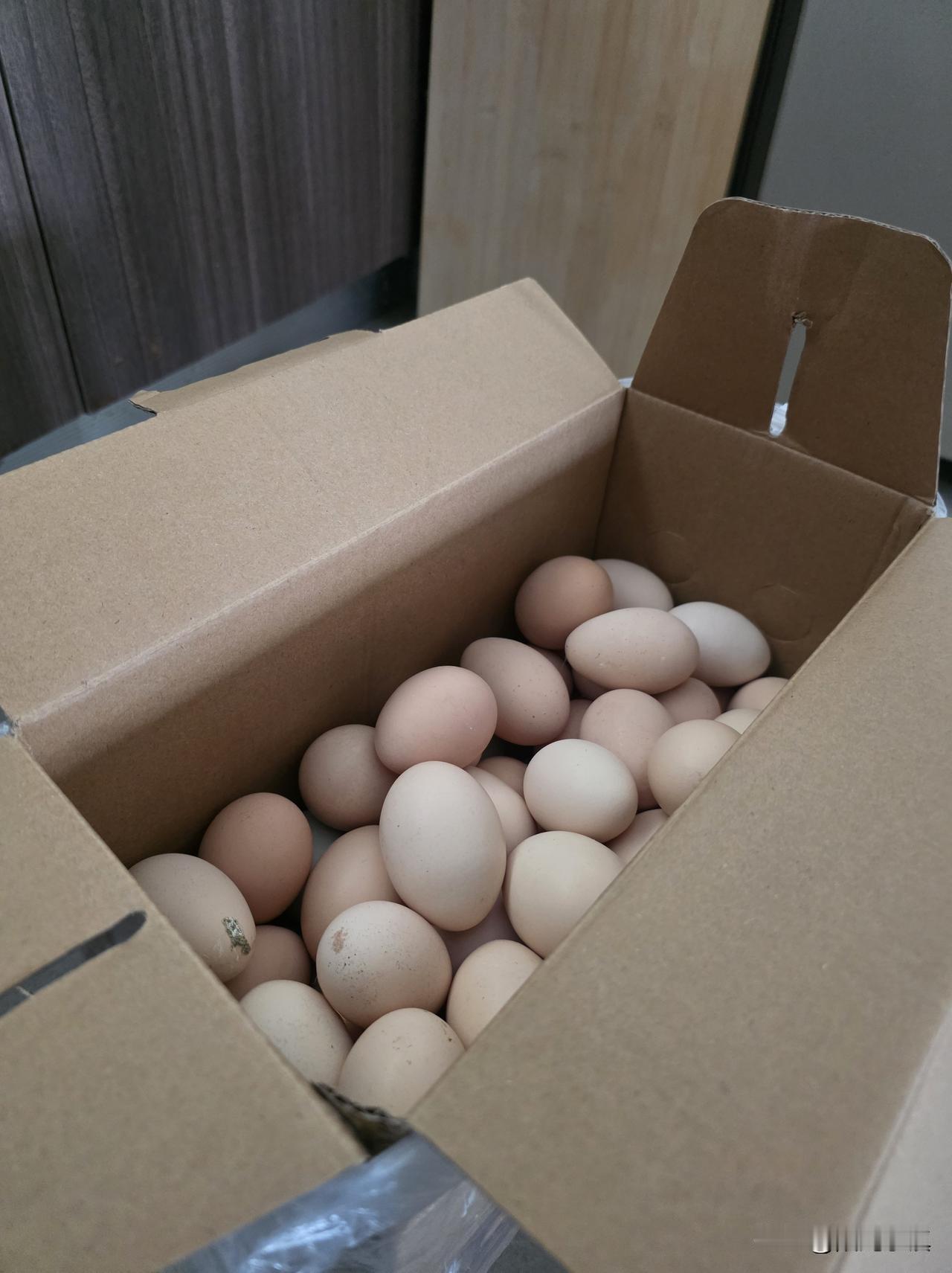 早上打开那箱鸡蛋，愣住了……

满满当当一箱子。婶子说100多个，我往冰箱里放事
