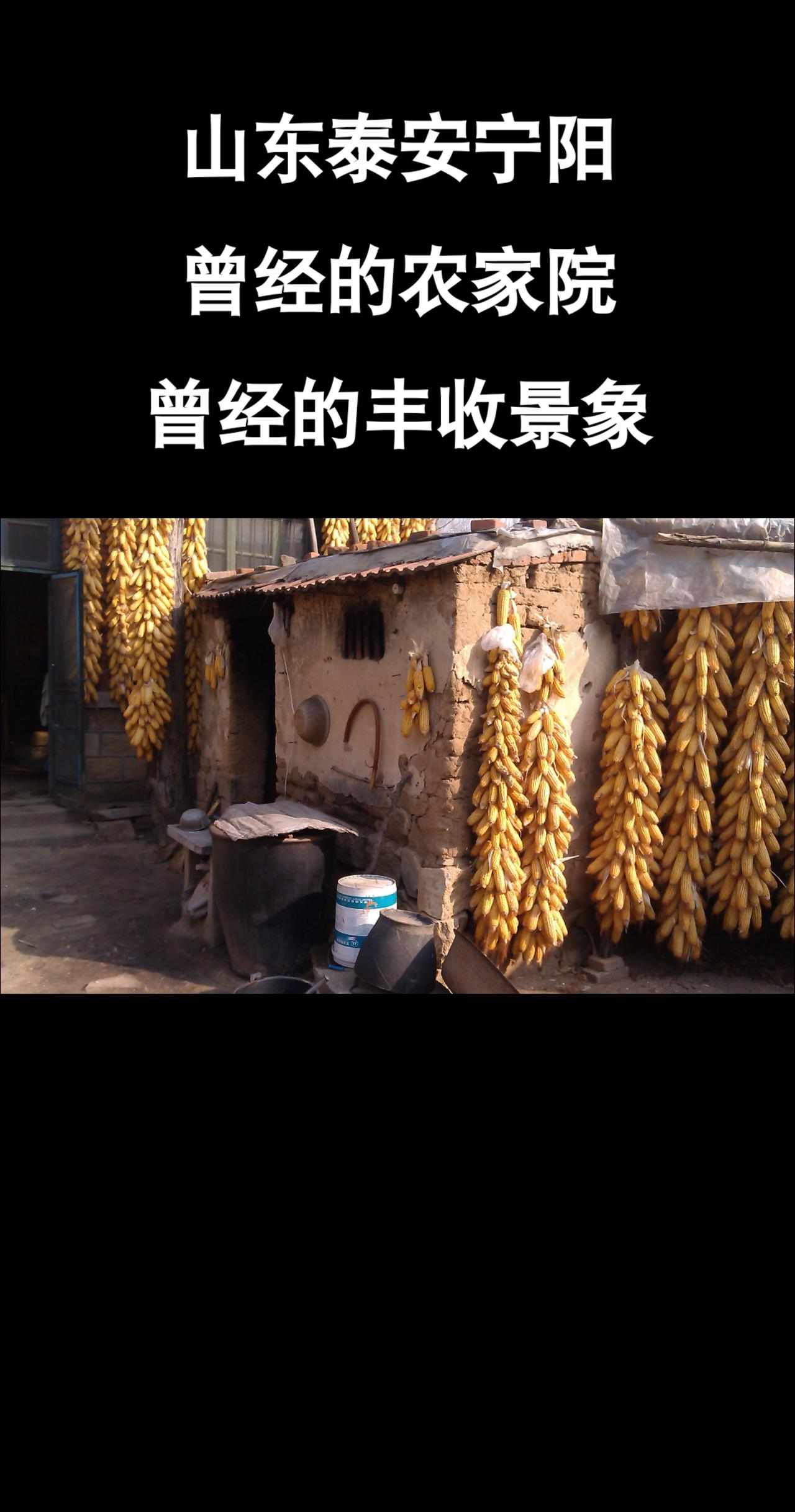 山东农村 农村生活 回忆宁阳