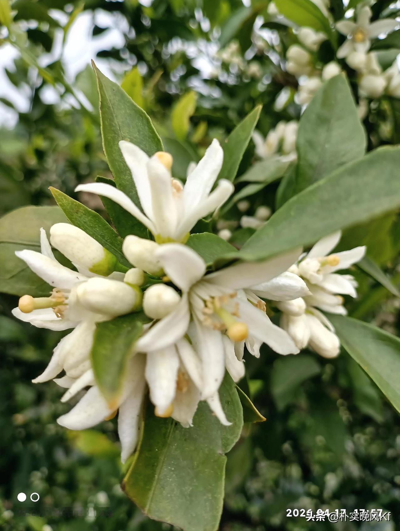 良心值多少钱？是没法用金钱衡量的。假如一次天灾人祸，有的人送了命，有的人毫发无损