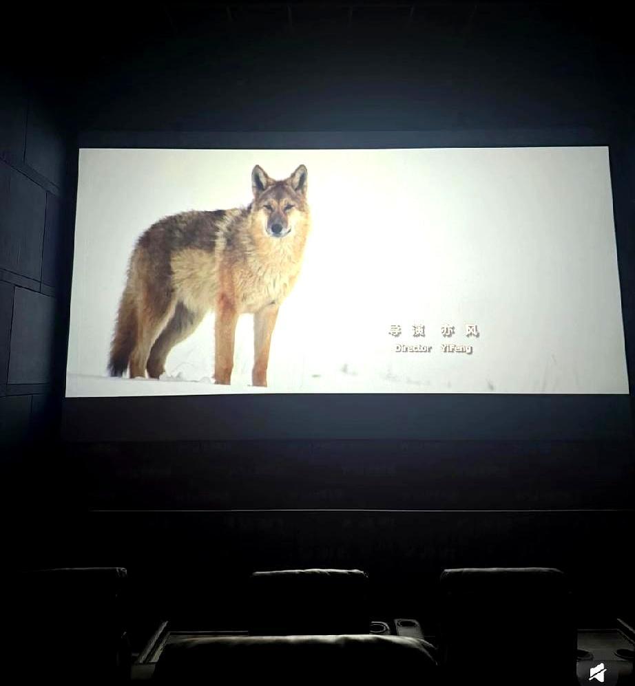 有一部电影，很多人掏钱买了票，却根本不敢走进电影院。
 
进去的人，出来都说后劲