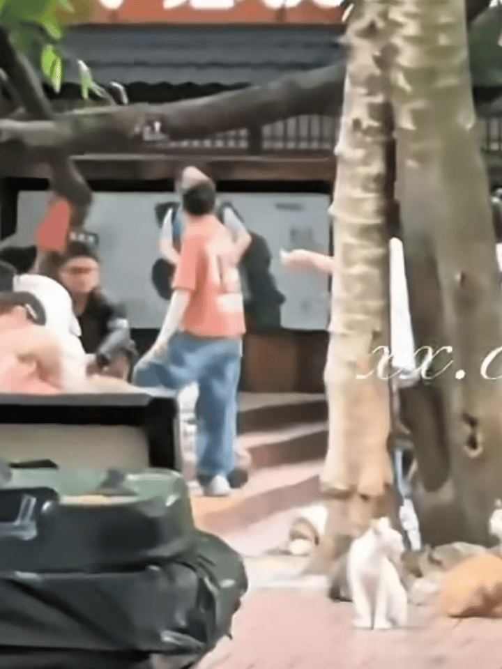 我家男孩在一个小猫很多的地方喂猫被偶遇（有妆造期待一下 ​​​