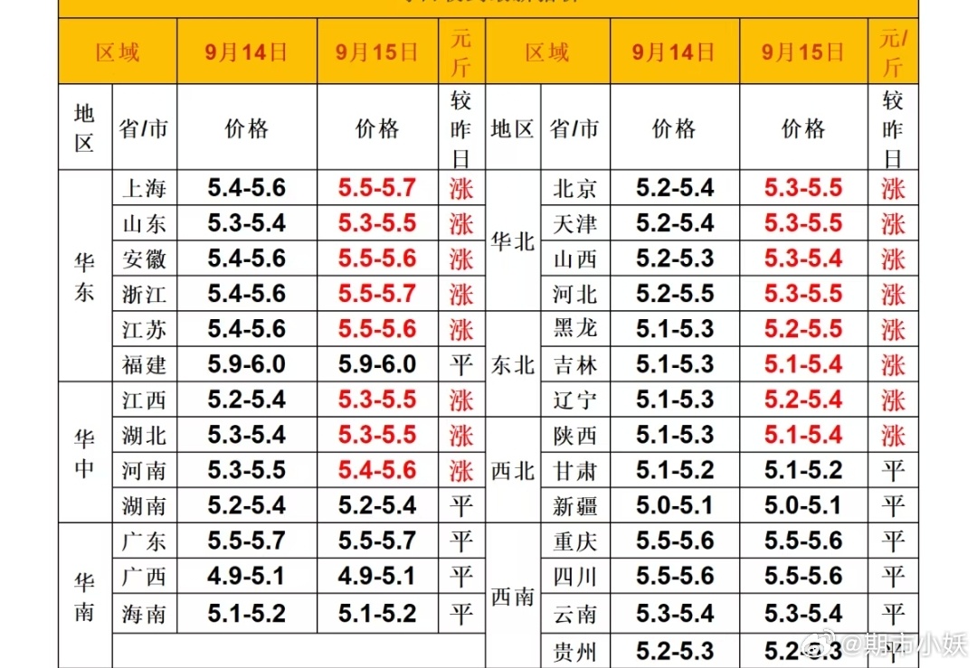 每日猪价 ​​​