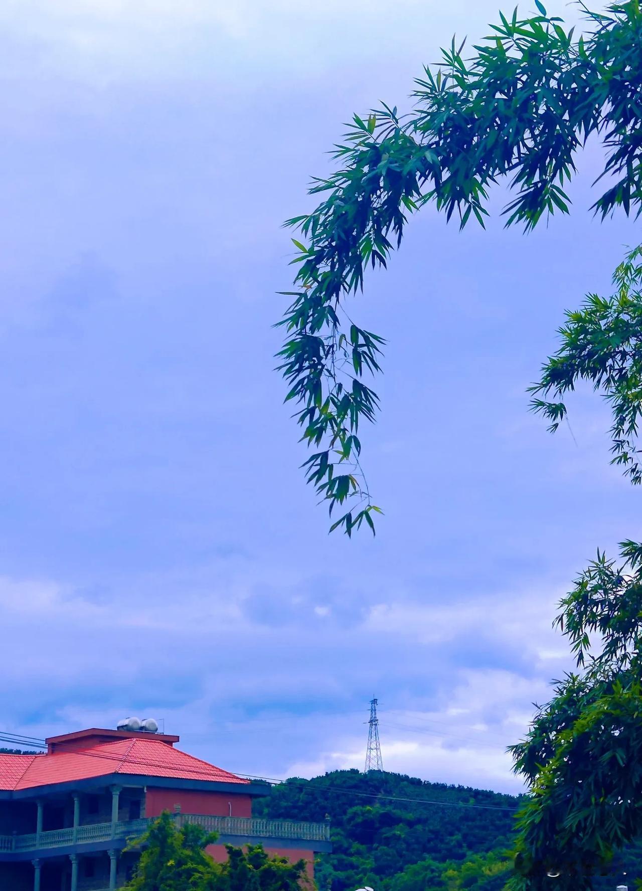 秋日私语
#随手拍摄叶的美##随手拍摄的绿植# #初秋景色随手拍# #随手拍秋天