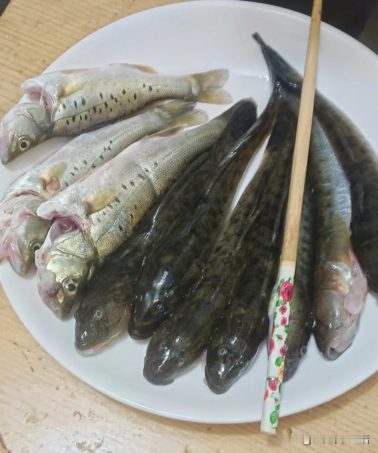 冬日生活记录喜欢美食就是喜欢生活，吃嘛嘛香，不仅能尝到好味道，还能体验不同的文化