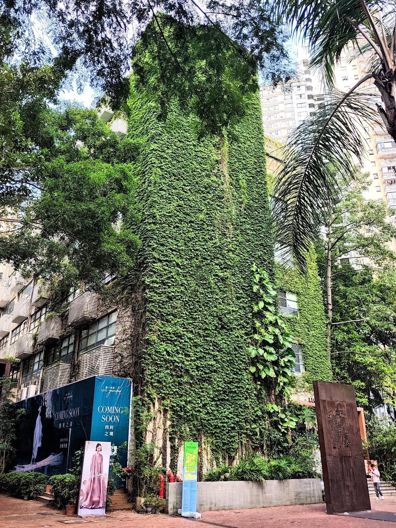 深圳华侨城OCT打卡。城市需要这种休闲街区，它跟写字楼、步行街、工厂、游乐场是完