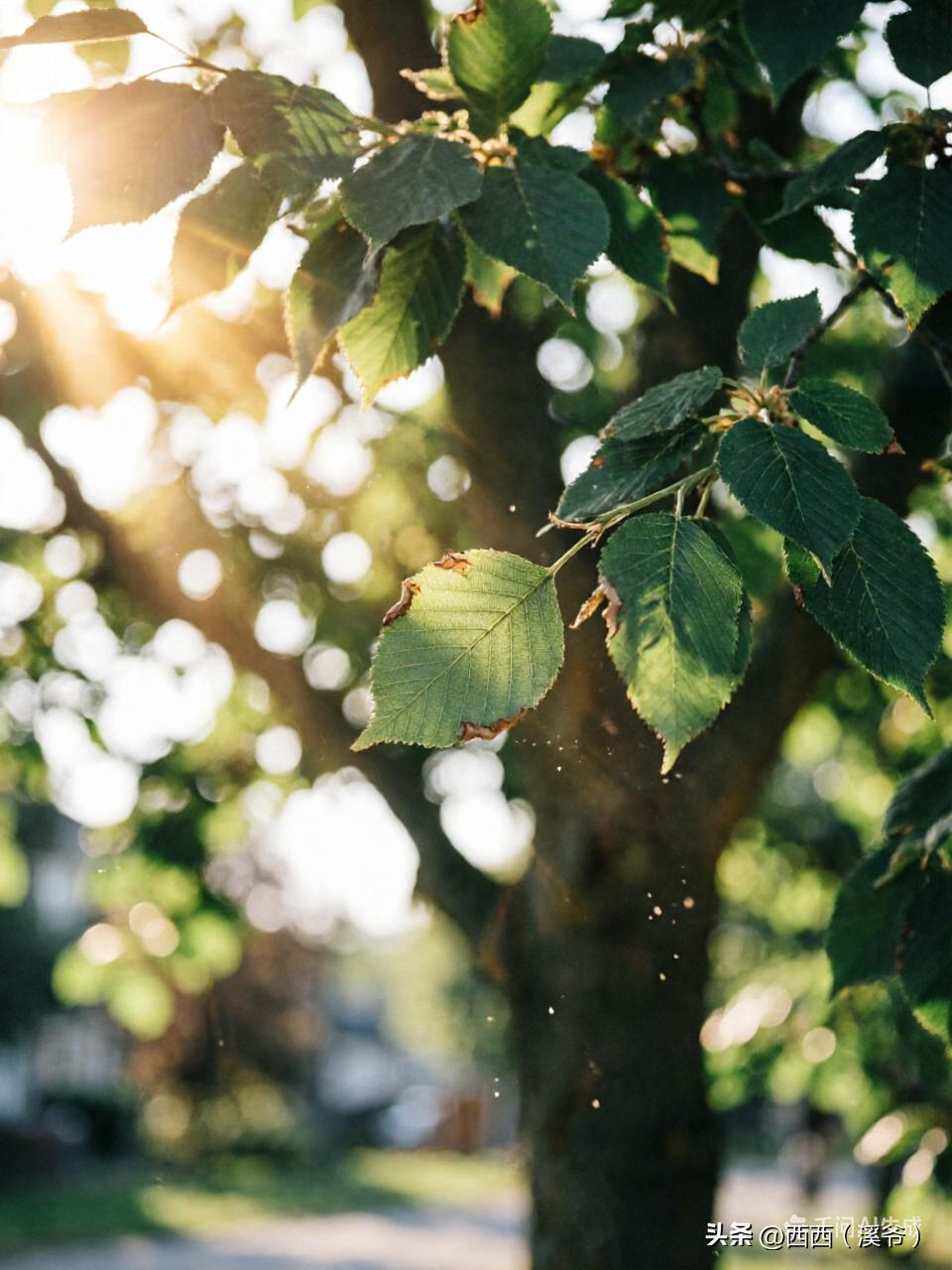 为什么你凌晨3点最清醒？丙午火的人，身体在悄悄告诉你一件事
你有没有发现，有些人