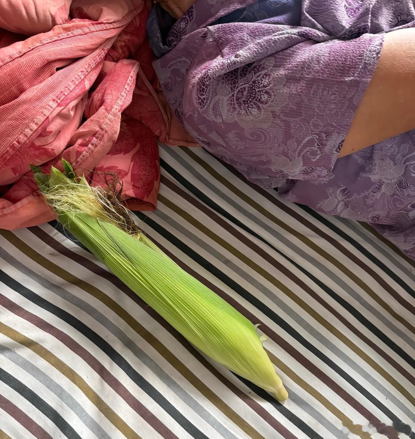 奶奶的森系小众眼镜盒