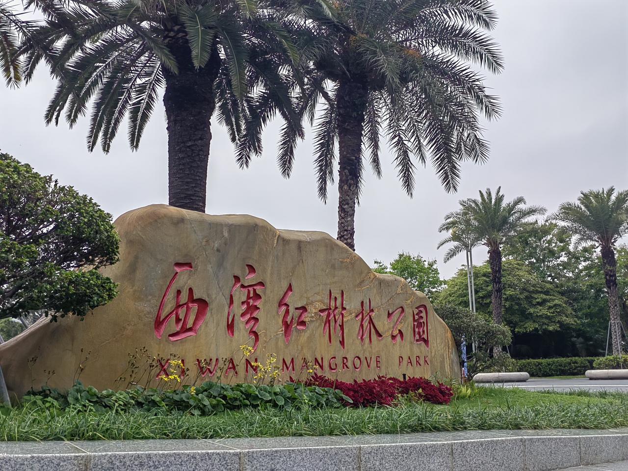 西湾红树林公园！其实离家很近，地铁去有点远，公交车几个站20多分钟到。
前几年来