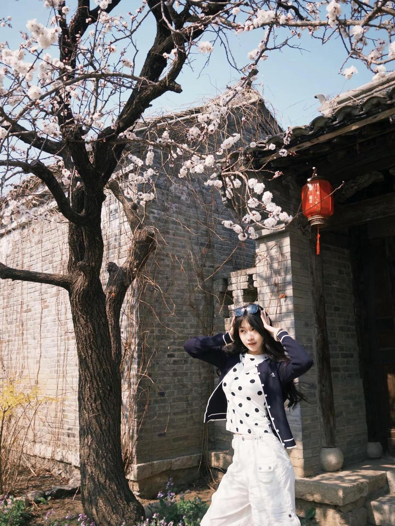 想了半天漂亮话，发现最漂亮的是我