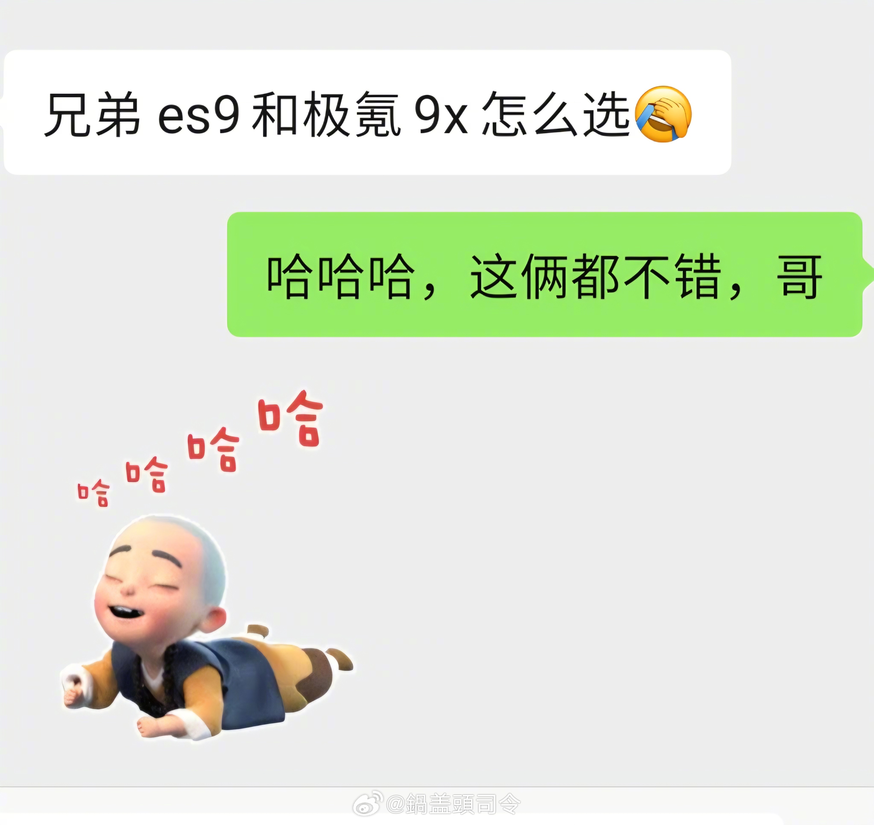 有个朋友问我蔚来ES9和极氪9X怎么选？我说这俩车都不错，没毛病吧？ 