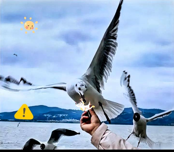 都在说，美国要收手了，准备坐下来和谈了。
我告诉你，这才是最危险的信号。

近期