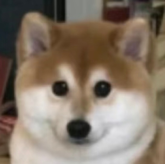 一般都不咋看这些网红，但是真的有点喜欢方头明咋整 