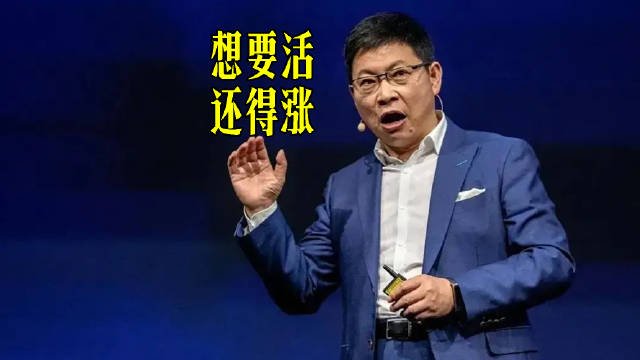华为余承东近期表示，展望未来，我们也不得不提高价格。公司必须先能够生存下来。 ​