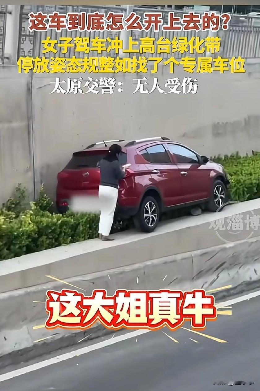 这车到底是怎么开上去的？
山西太原，一女子开车直接冲上高台的绿化带上面，路人纷纷