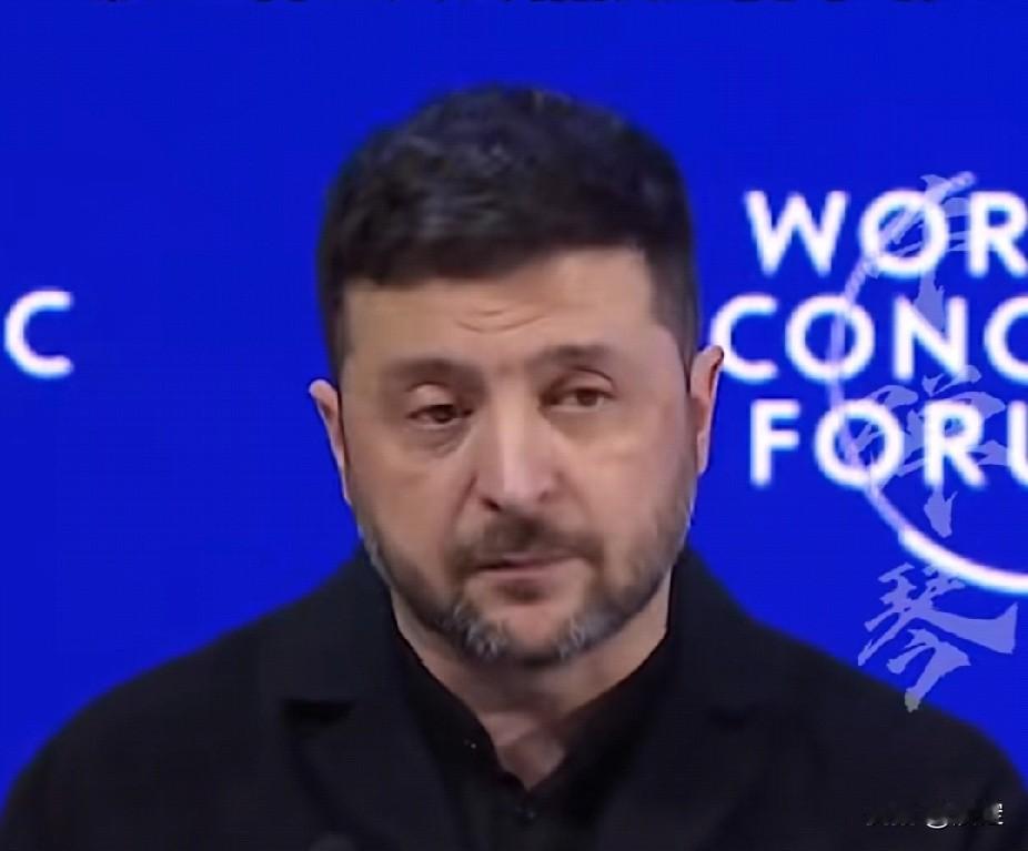 又废话，乌克兰总统泽连斯基称，乌克兰已对白俄罗斯总统卢卡申科实施制裁。

这是俄