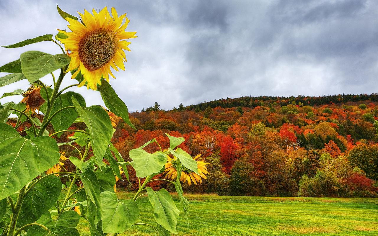 人生，没有下一次，好好珍惜这辈子，健康不等人，病来如山倒；时间不等人，余生没多少