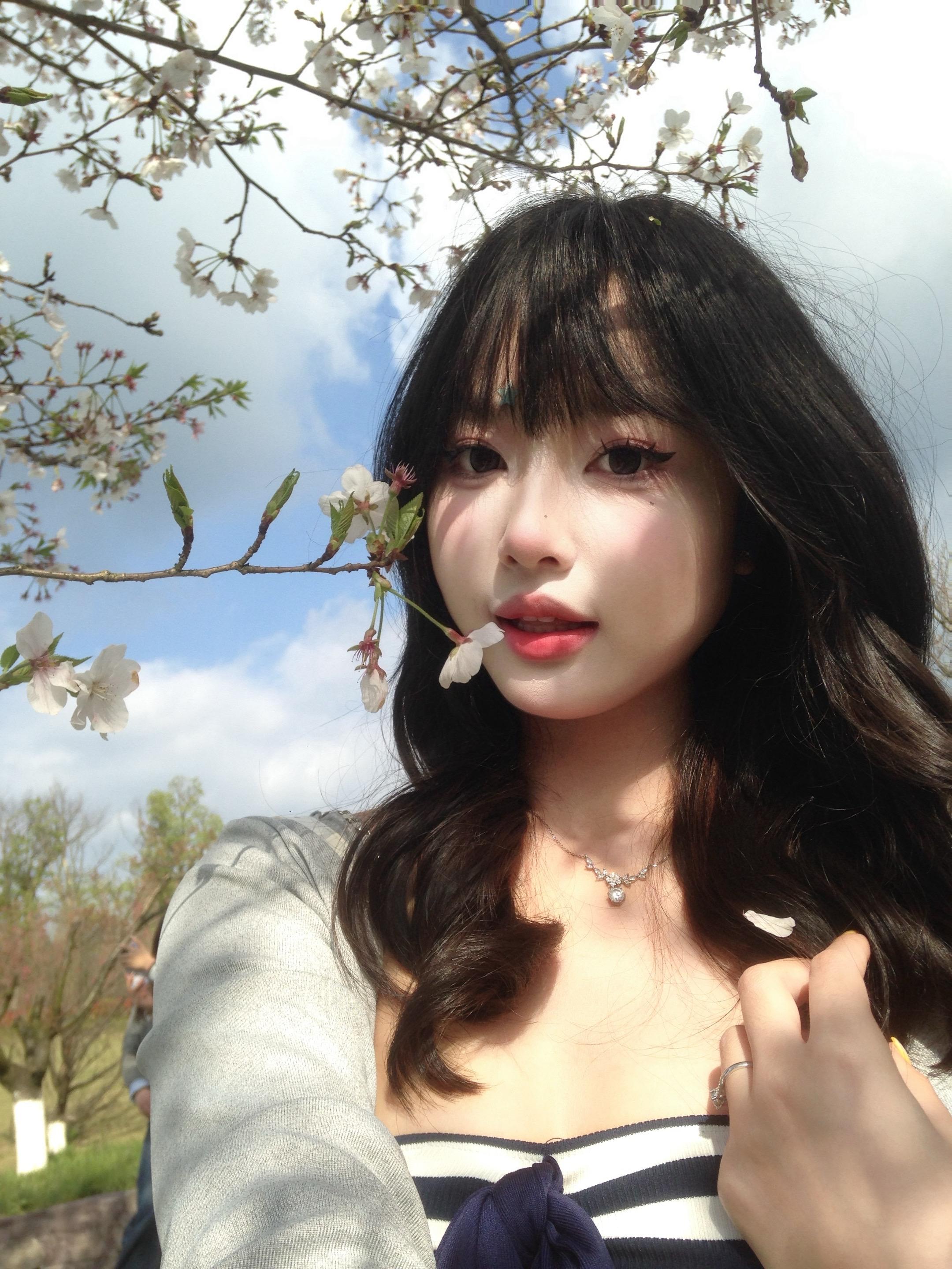 𝜗𝜚⁺⊹ 除了春天爱情和樱花 ⊹🌸