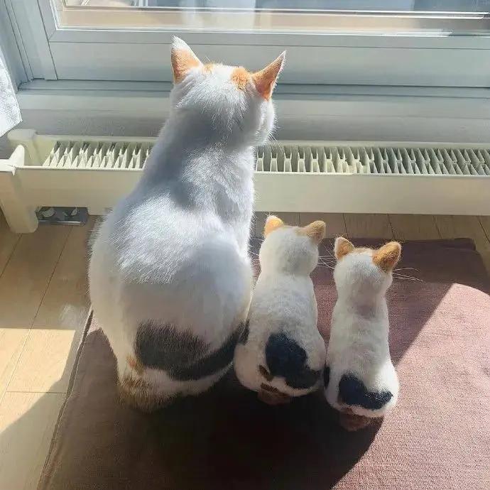 网友用毛毛做的小猫猫！