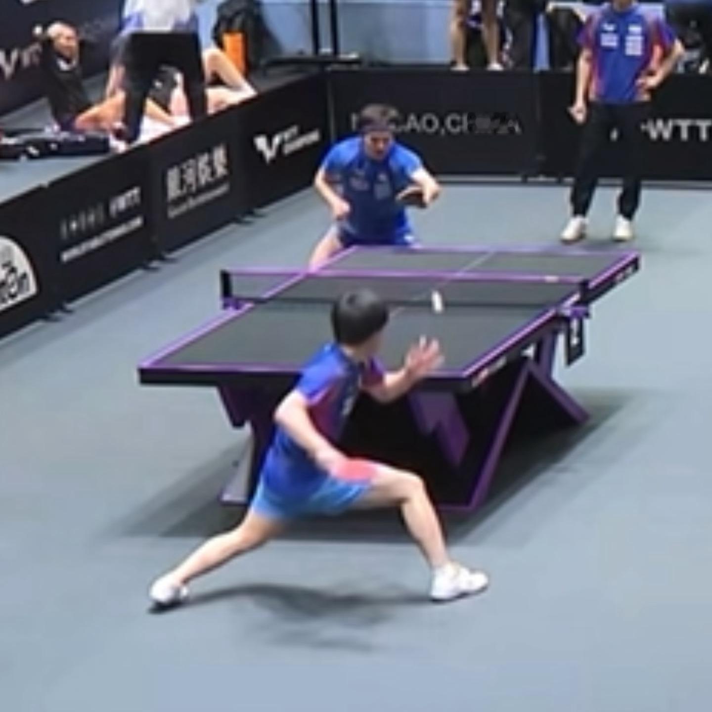 狗儿的训练流程:训练🏓➡️喝水💦➡️棒球⚾️➡️训练🏓🔄 ​​​