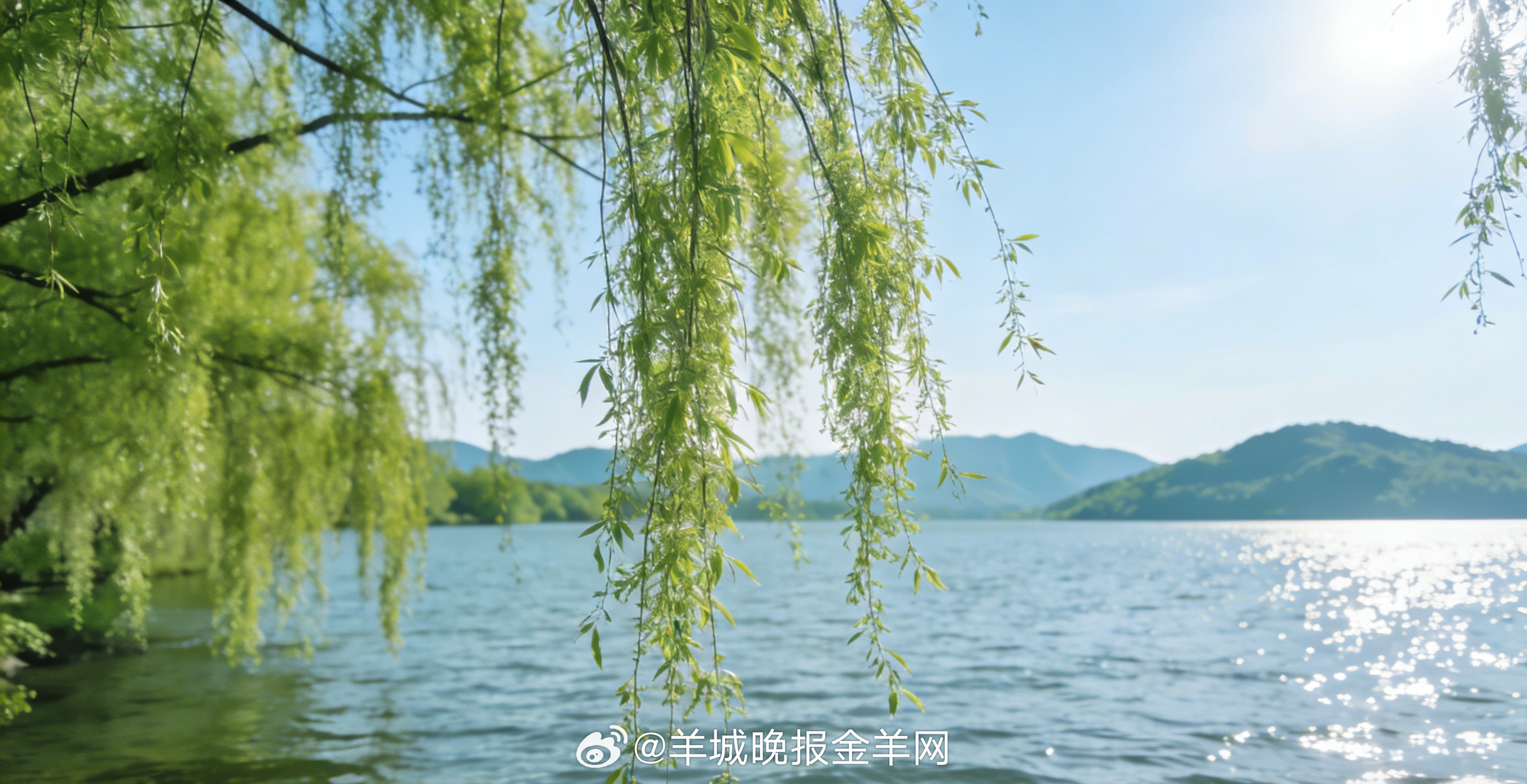 #早安#天清气明，杨柳泛青，愿你不负时光，珍惜当下，带着所爱之人的嘱托，勇敢而从