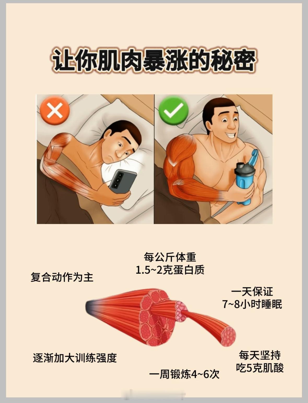 让你肌肉暴涨的秘密 