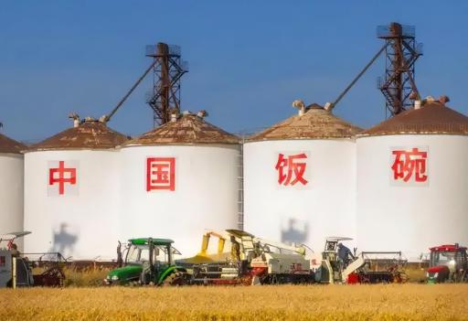 中国存点粮就“威胁世界安全”？美国这顶帽子扣得真够大！我们用自己的地、种自己的粮