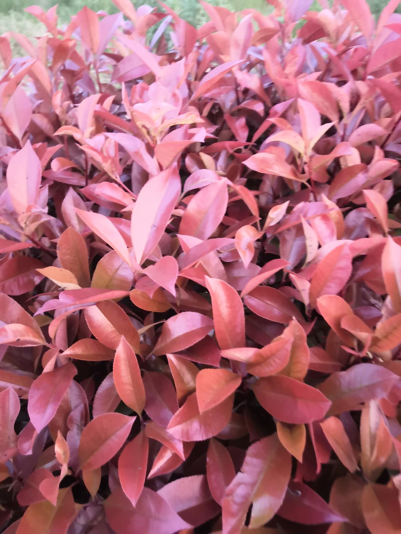 这几天都没什么心情了，看着儿子呆在家里大门不出二门不迈的，心里真的不是滋味。放假