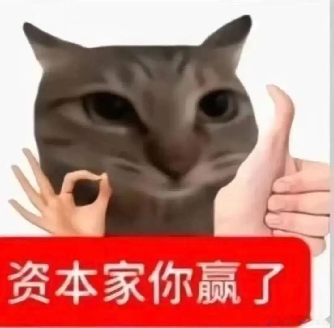 算了随便吧没有就不要了 看这些字就烦 
