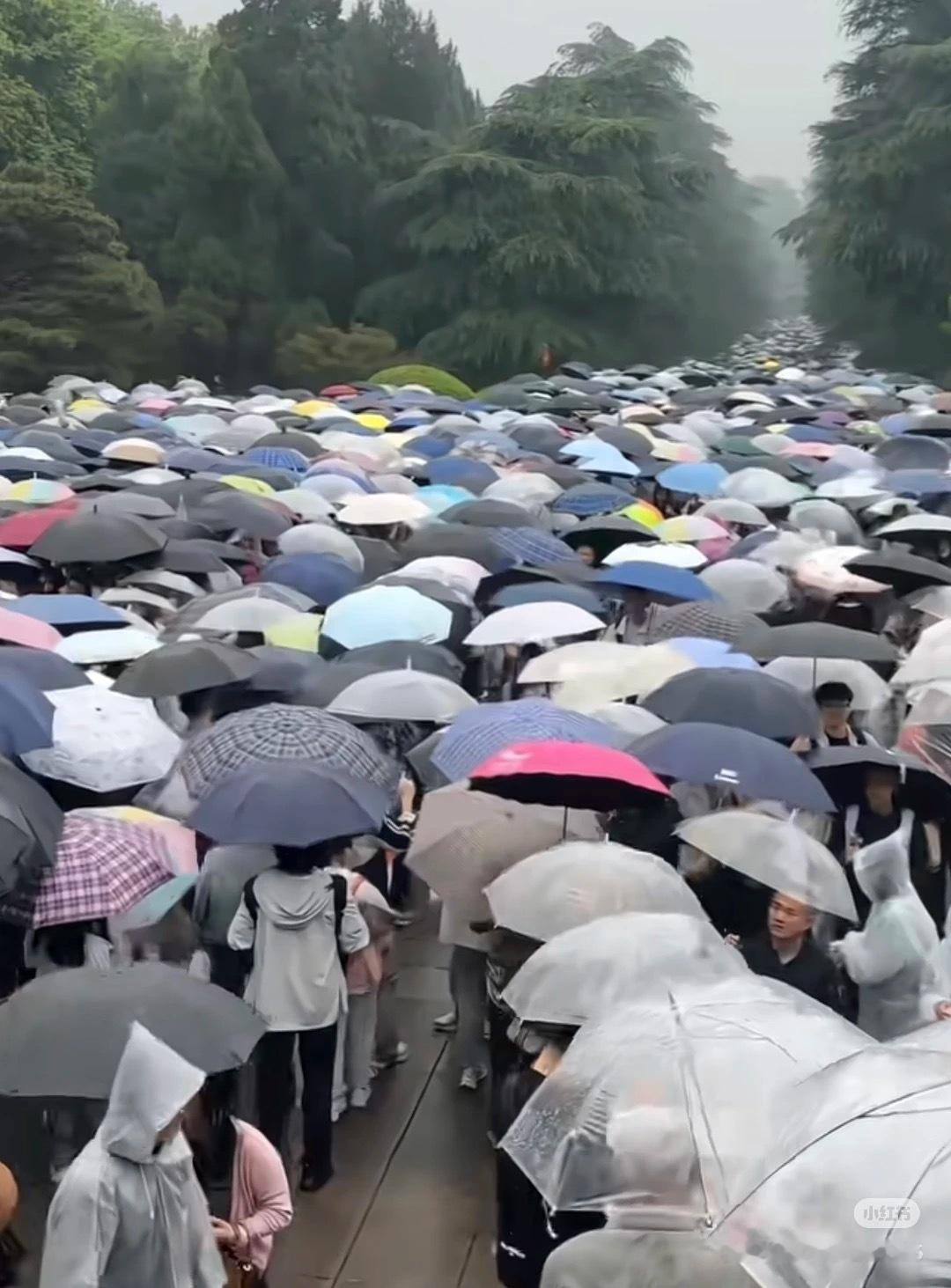 依萍来南京都要嗑两把瓜子再走 南京这场依萍同款大雨都挡不住嗑瓜子大赛的火热，选手