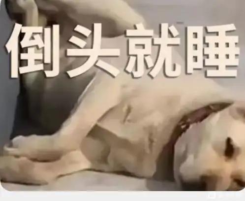 人生呐能不能
人生呐，能不能放过我这一次，下辈子我只想做个不会长大的孩子