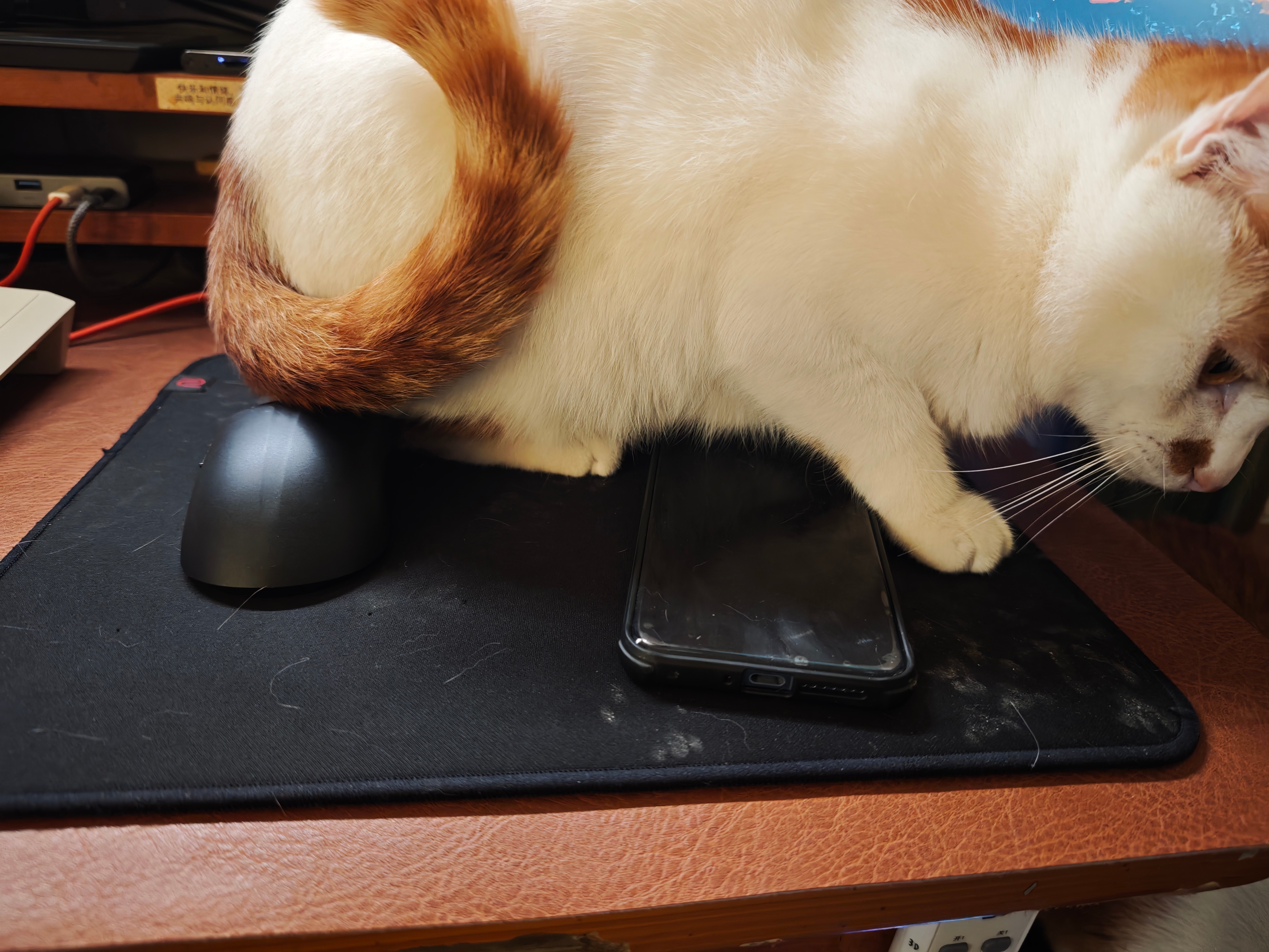 卓威能不能出一个不会沾猫脚印的布垫不是卓威也行[允悲][允悲]  金属和玻璃这天