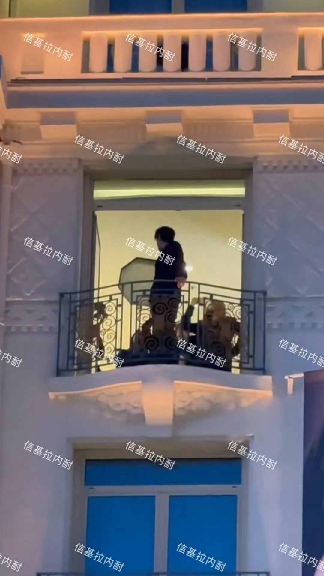“神图有了，兄弟！”“神图有了，老爸！” 哄人（猫）也是一脉相承 