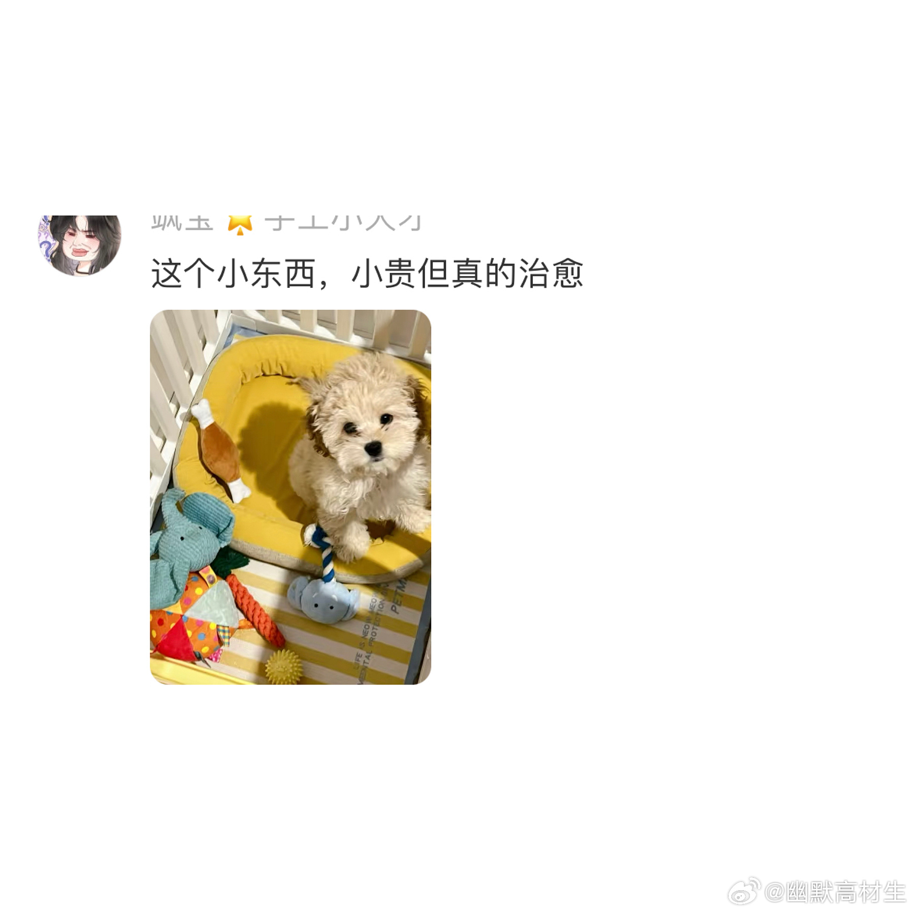 花得最值得的一笔钱 