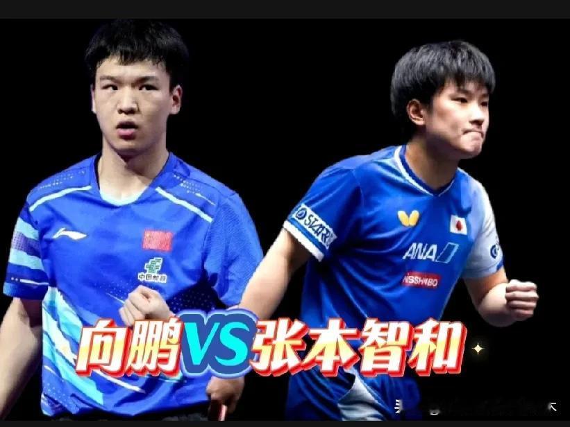 硬仗也是焦点之战！
向鹏VS张本智和
本以为这次横滨冠军赛林诗栋能向张本智和复仇