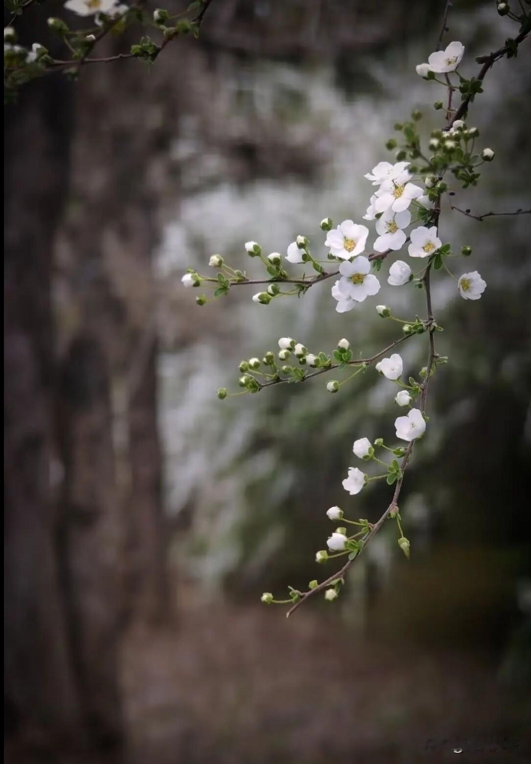 这恰是我们沉下心来夯实基础、积蓄力量的阶段，就像竹笋的生长。

友人告诉我，竹子