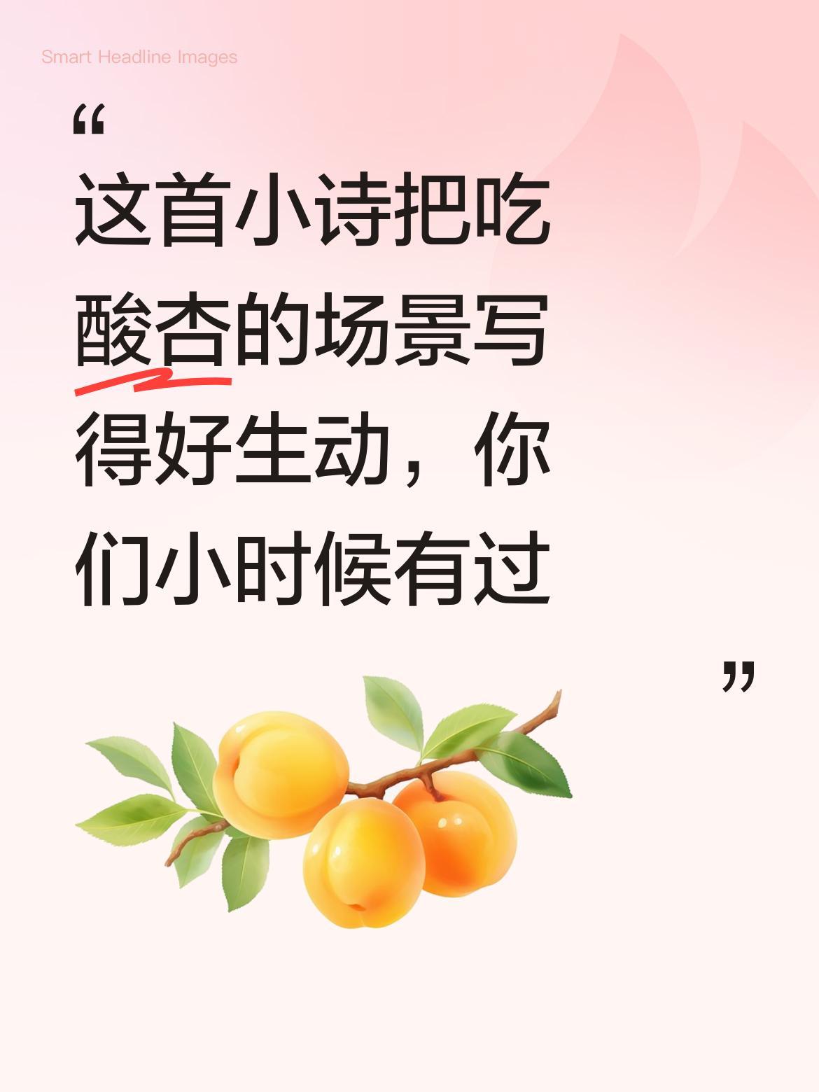 这首小诗把吃酸杏的场景写得好生动，你们小时候有过类似经历吗？
"酸杏一看真漂亮，