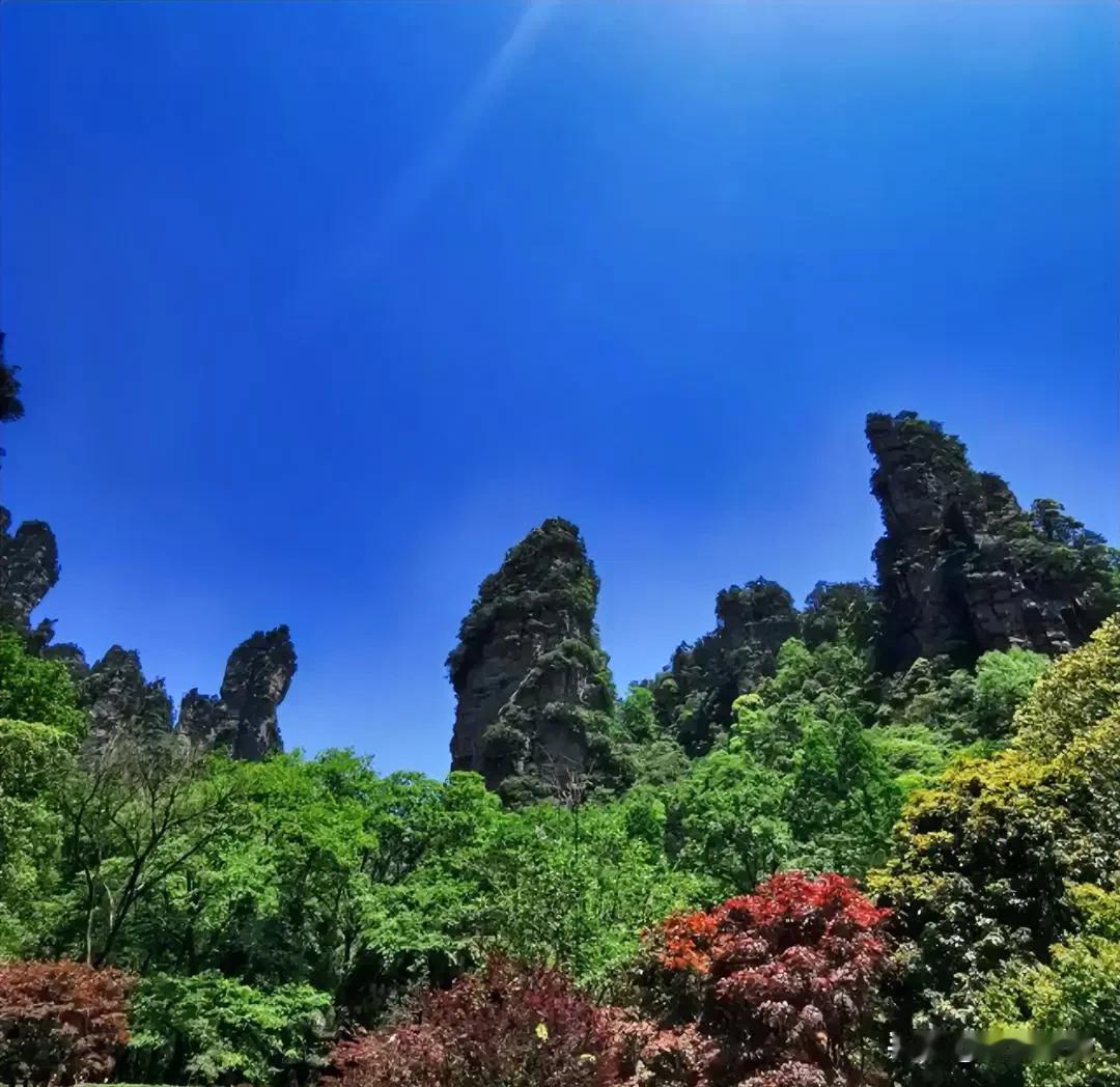 五一的账，不算不知道，一算吓一跳。

五一期间，姐姐和姐夫厂里放两天假，他们又请