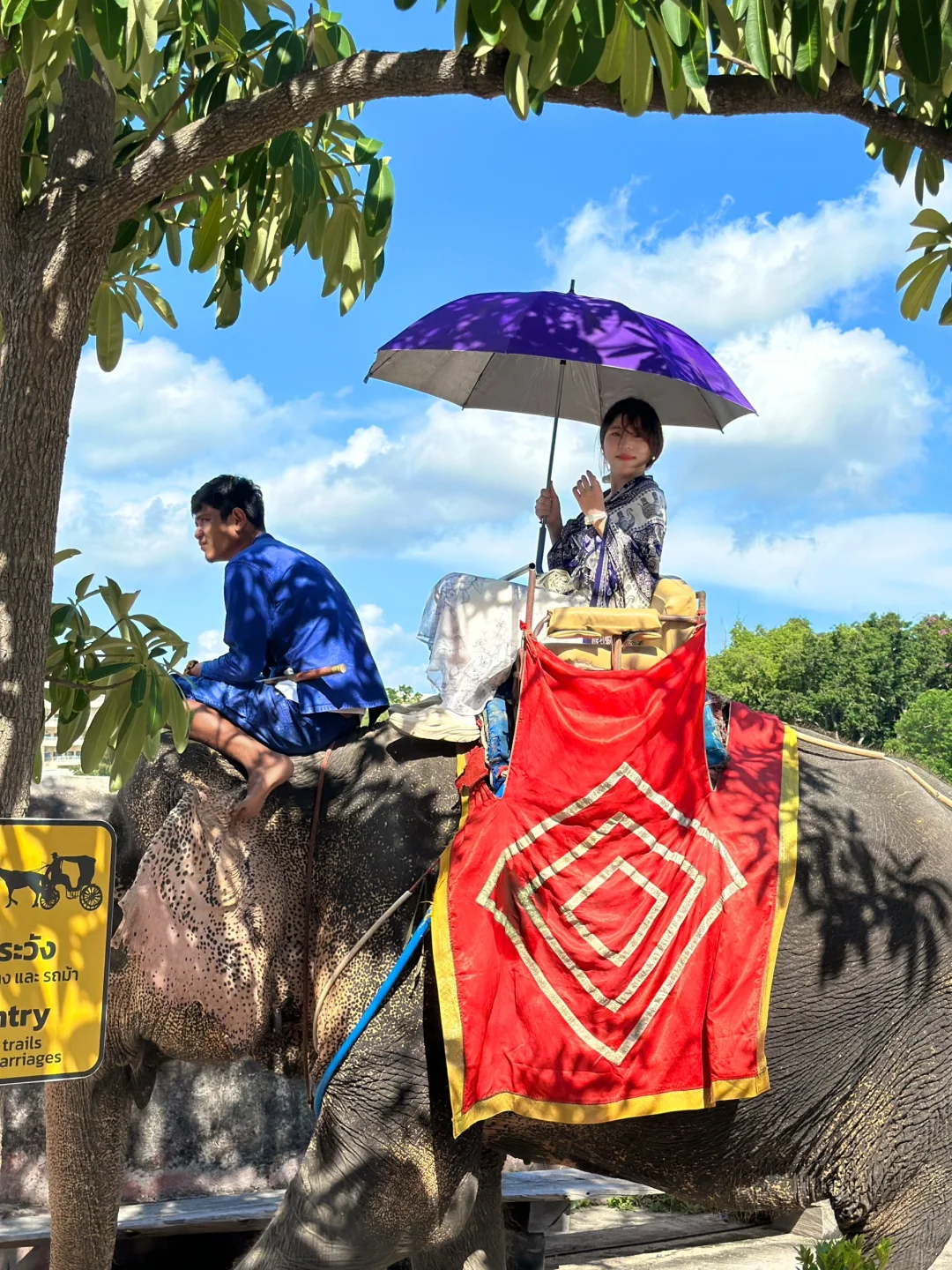 在海边骑大象🐘